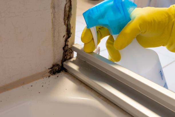 Crawl Space Mold Removal in La Porte City, IA