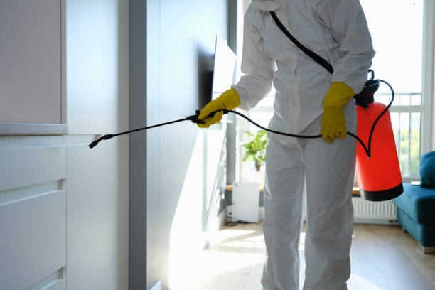 Certified Mold Removal in La Porte City, IA